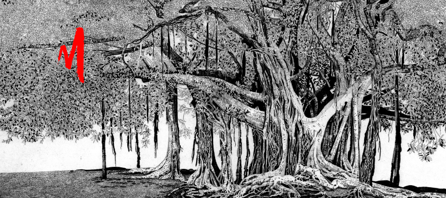 Federica Galli, Il ficus di Palermo, 1998