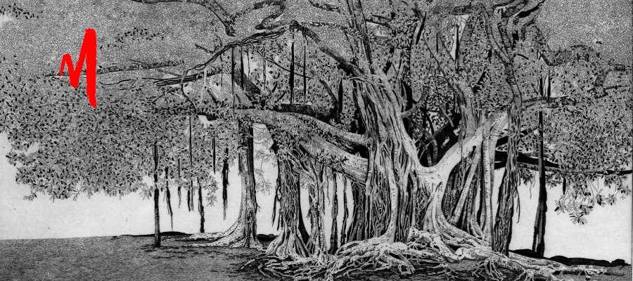 Federica Galli, Il ficus di Palermo, 1998